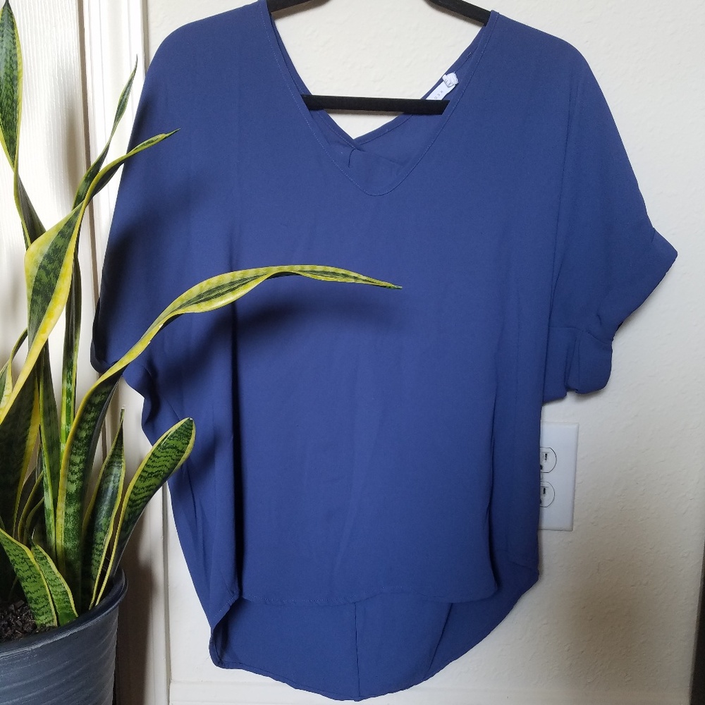 Lush Blue Top